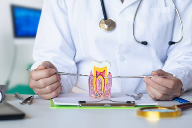 Trusted MS Emergency Dental Service Experts